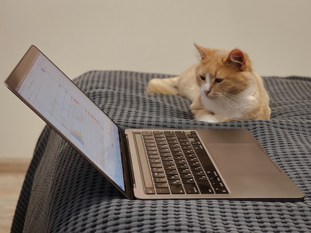 DeFi Security